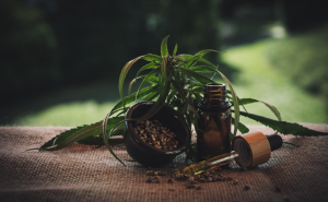 cannabis extract